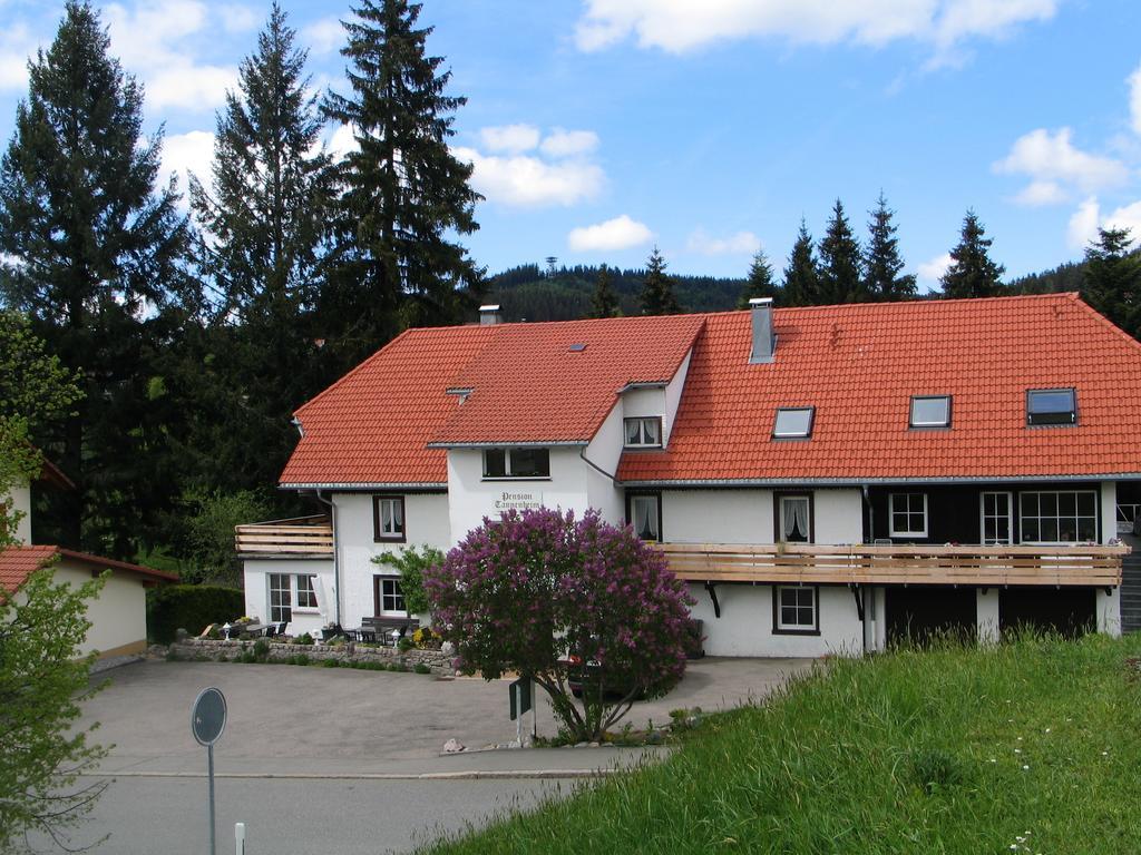 Pension Tannenheim Шлухзе Екстер'єр фото