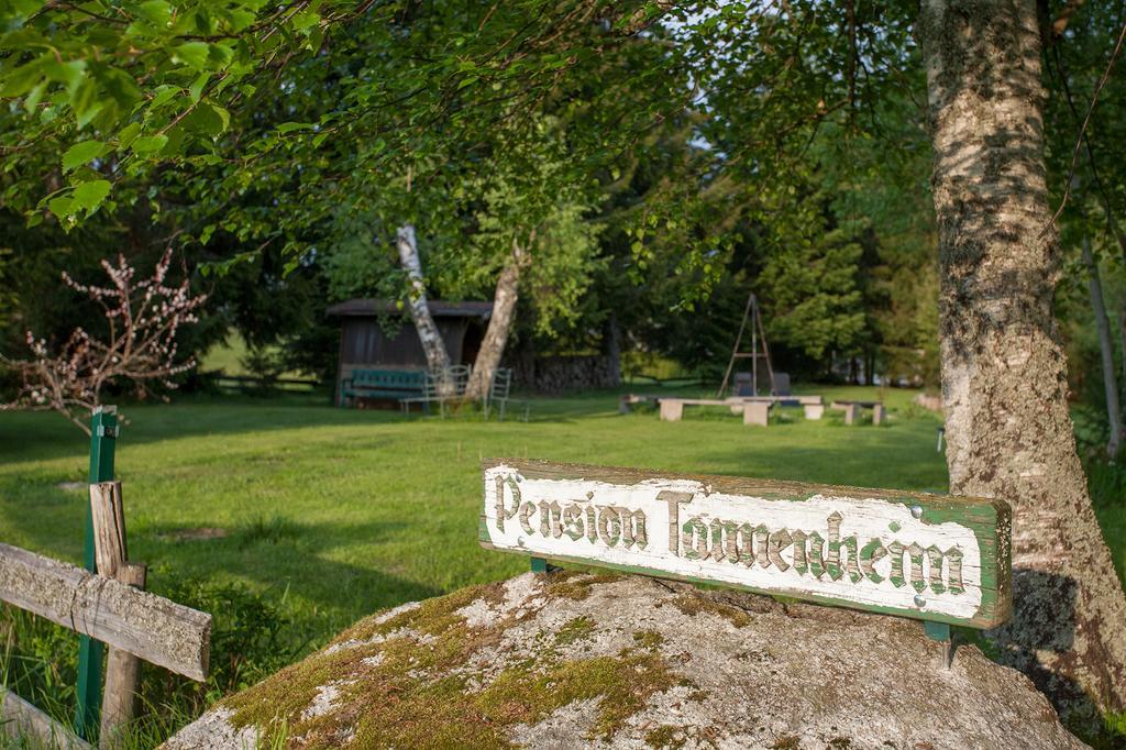 Pension Tannenheim Шлухзе Екстер'єр фото