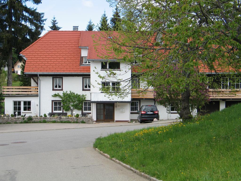 Pension Tannenheim Шлухзе Екстер'єр фото