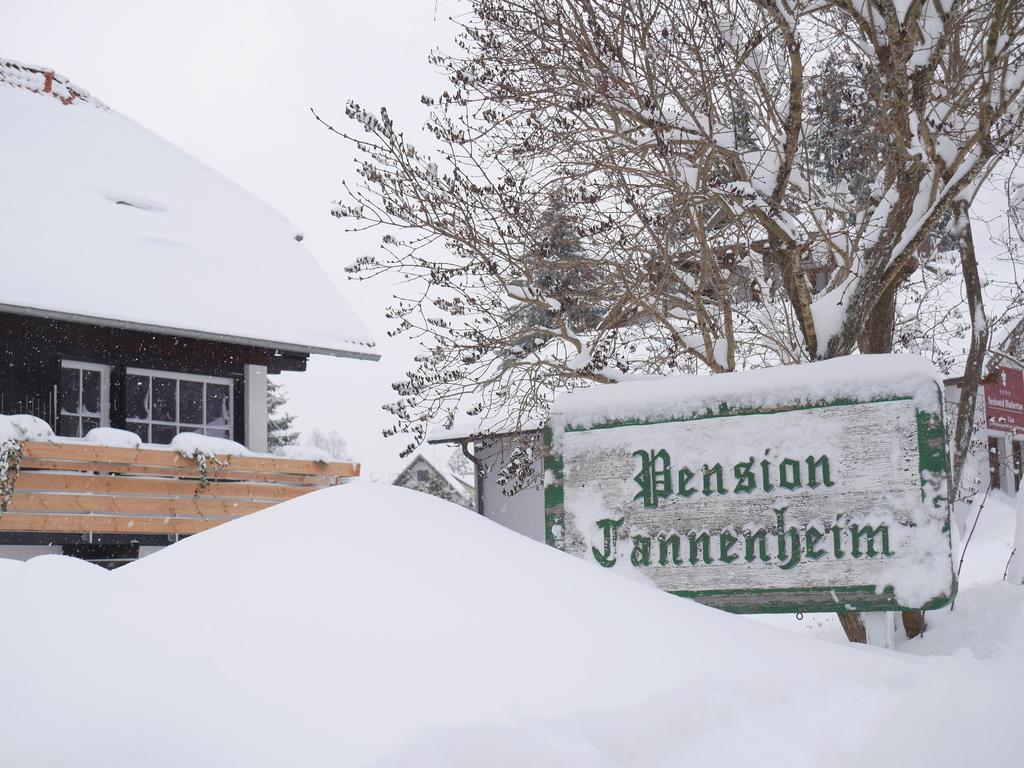 Pension Tannenheim Шлухзе Екстер'єр фото