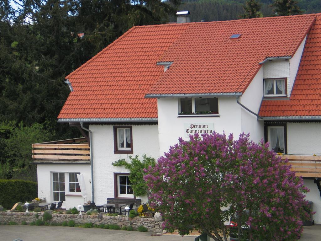 Pension Tannenheim Шлухзе Екстер'єр фото