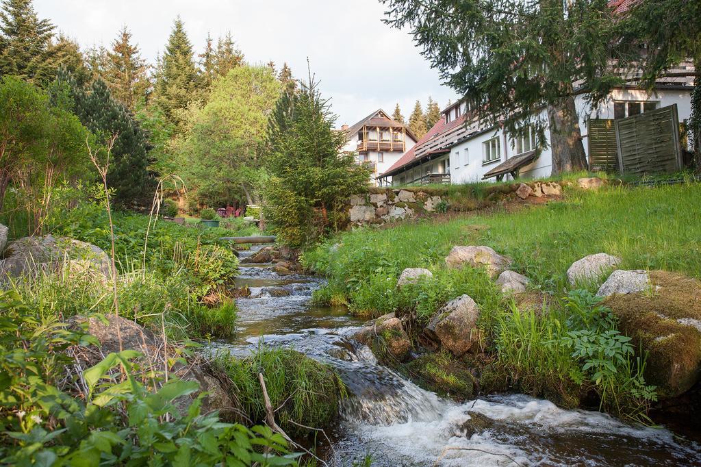 Pension Tannenheim Шлухзе Екстер'єр фото