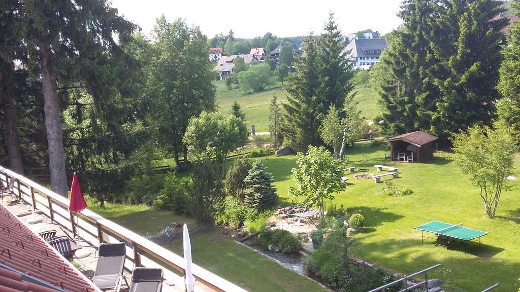 Pension Tannenheim Шлухзе Екстер'єр фото